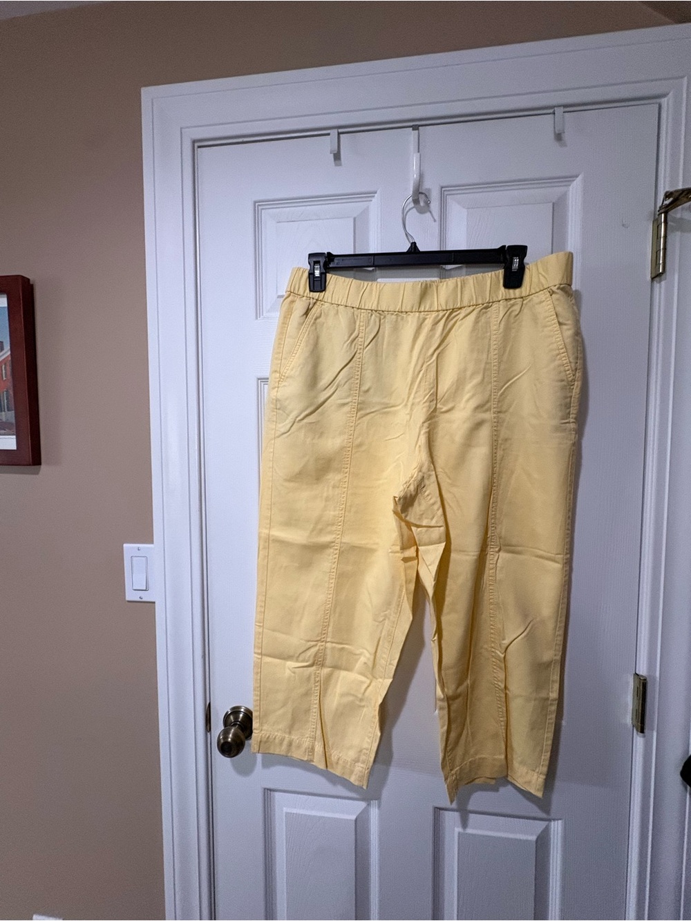 Talbots Light Yellow Pull-On Shorts